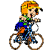 pm_velo.png