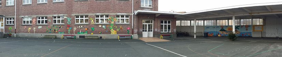 le site de l'Ecole Jules Verne
